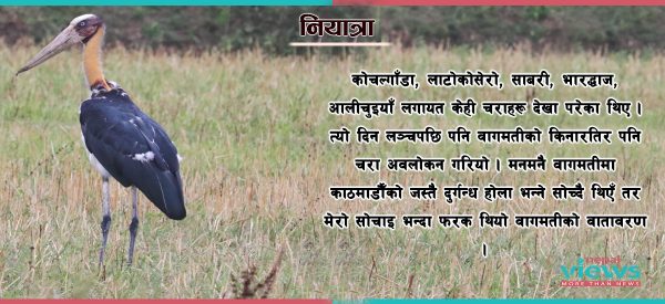 मधेसका खेत–खलिहान चहार्दै, चरा नियाल्दै