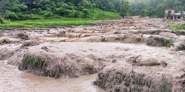 भद्रुटारका दर्जनौँ घरपरिवार बाढी र पहिरोको जोखिममा, सयौं रोपनी खेतमा बाढी पस्यो