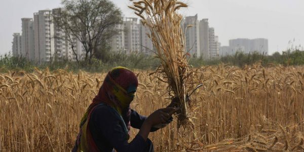 रुसमाथि पश्चिमा राष्ट्रले लगाएका प्रतिबन्धले दक्षिण एसियामा पारेको दुस्प्रभाव