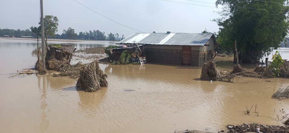 बाढी र डुबानका कारण कैलालीमा सयौँ परिवार विस्थापित