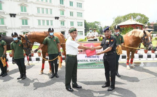 भारतीय सेनाध्यक्षले नेपाली सेनालाई दिए ४ वटा घोडा उपहार