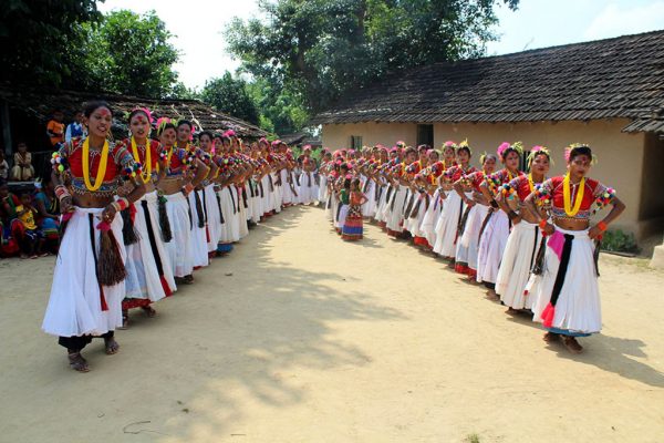 थारु गाउँमा दशैँको रौनकता, आज मुर्गा पुज्ने दिन