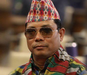 नागरिक उन्मुक्ति पार्टीको कार्यकारी अधिकार रेशम चौधरीमा