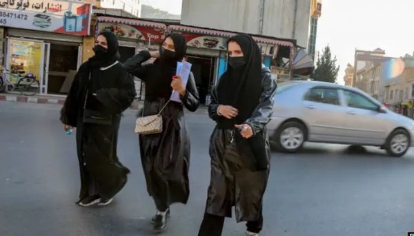 महिलालाई एनजीओमा काम गर्न प्रतिबन्ध लगाउने तालिबान सरकारको घोषणा