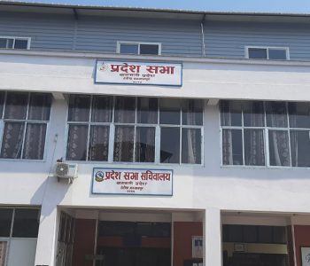 निर्वाचनबाट नेतृत्व चयन गर्न सुझाव
