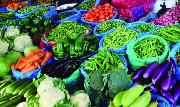 रायो, पालुङ्गो, चमसुर, तोरी र मेथीको साग सस्तियो