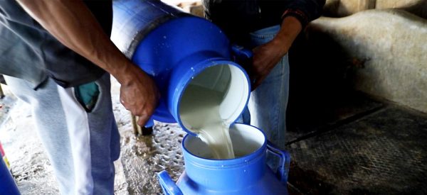 दूधको मूल्य प्रतिलिटर १० रुपैयाँले बढाउने तयारी