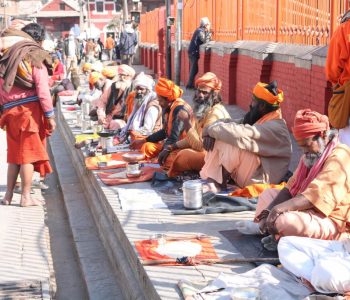 शङ्कराचार्य निश्चलानन्द सरस्वतीसहित अन्य साधुसन्तको आज बिदाइ