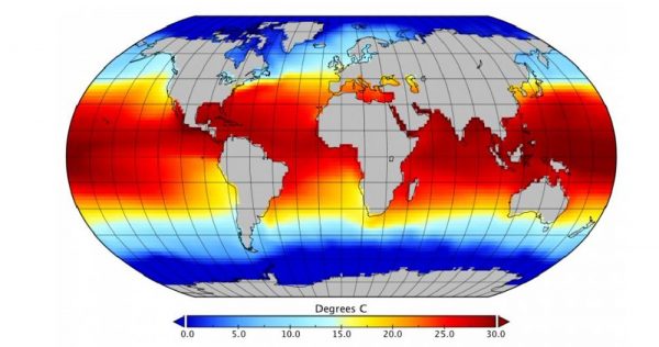 विश्वको समुद्री ताप उच्च विन्दुमा