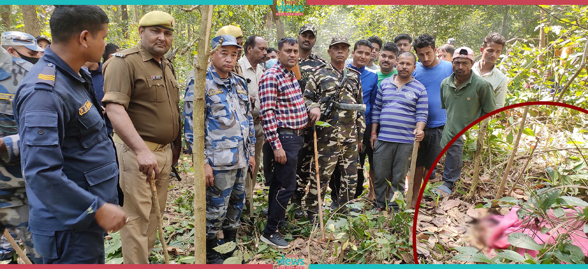 कञ्चनपुरमा बाघको आक्रमणबाट एक महिलाको मृत्यु