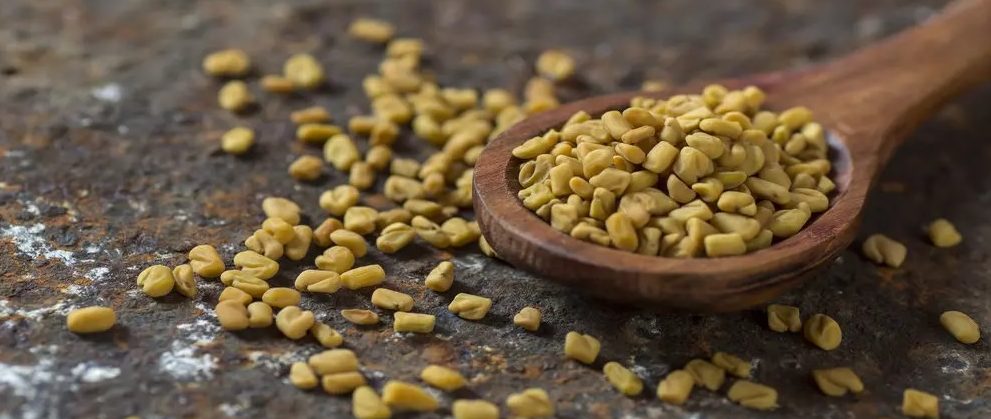 हरेक दिन एक चम्चा मेथी एकदमै फाइदाजनक