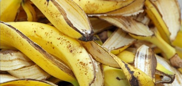 केराको बोक्रा बोटविरुवाको लागि एकदमै फाइदाजनक, यसरी गर्नुहोस् प्रयोग