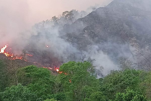 गुल्मीमा सामुदायिक वनको दुई हजार हेक्टरमा डढेलो