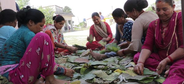 दुना-टपरीबाट उद्यमी बन्दै धनगढीका महिला, प्लास्टिकमुक्त धनगढी बनाउन सहयोग