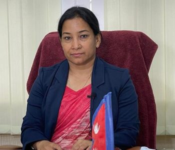 भरतपुर महानगरको नीति तथा कार्यक्रम : वरपीपल रोप्नेदेखि पटिहानी ईको पार्कसम्म