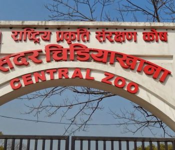 चिडियाखानामा एकै दिन १२ हजार अवलोकनकर्ता, शुल्क ७५ रुपैंया मात्रै
