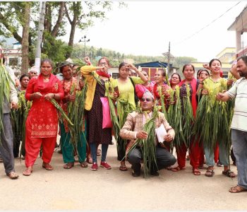 मकैको बोटको माला घाँटीमा झुण्डाउँदै प्रदर्शन, बाँदर नियन्त्रण मुख्य माग