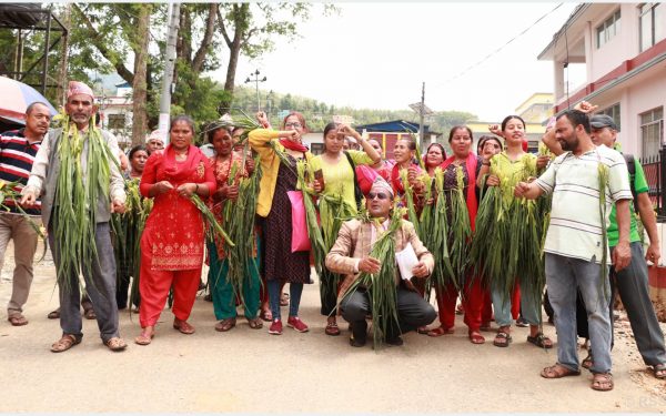 मकैको बोटको माला घाँटीमा झुण्डाउँदै प्रदर्शन, बाँदर नियन्त्रण मुख्य माग