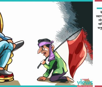 दलतन्त्र र माईबाप संसार