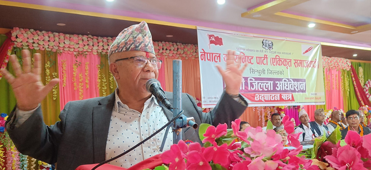 कमजोर नठान्नू, हामीले चाहे सरकार तुरुन्तै ढालिदिन सक्छौं : माधव नेपाल