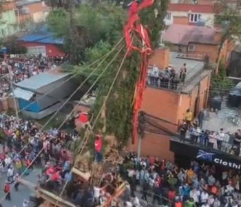 लगनखेलबाट जावलाखेल तानियो रातो मत्स्येन्द्रनाथ