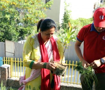 ग्लोबल आइएमई बैंकले वृक्षारोपण गरी मनायो विश्व वातावरण दिवस