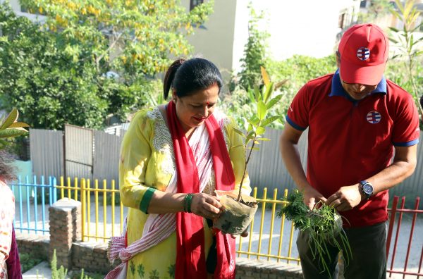 ग्लोबल आइएमई बैंकले वृक्षारोपण गरी मनायो विश्व वातावरण दिवस