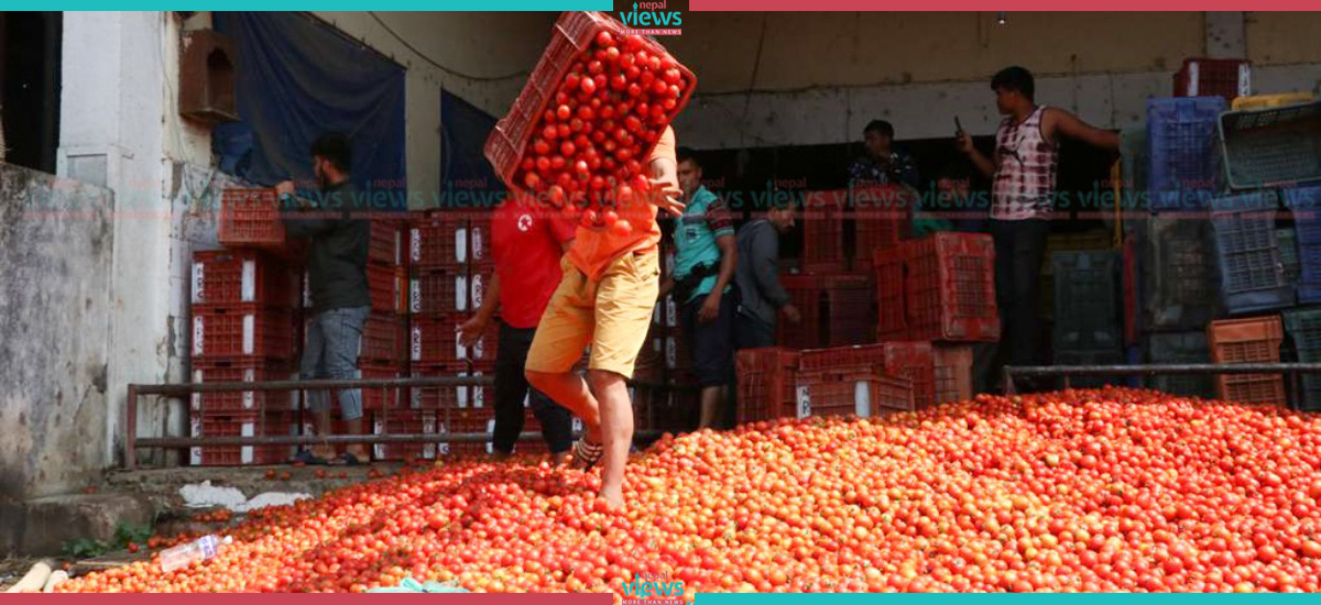 कालिमाटीको सडकमा गोलभेंडा फालेर किसानले गरे आन्दोलन (तस्वीरहरू)