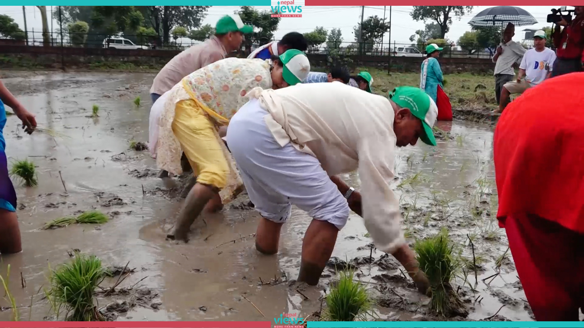 धान रोपाइँमा रमाउँदै कृषिमन्त्री (तस्वीरहरु)