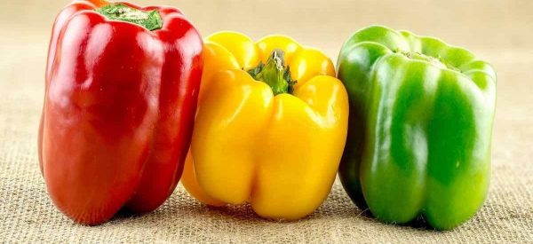 शिमला मिर्चको सेवनले बच्चालाई हुन्छन् यस्ता स्वास्थ्य लाभ
