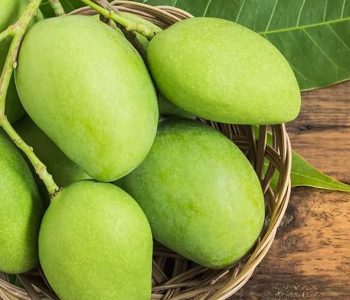 यसरी खानुहोस् काँचो आँप, भगाउँछ गर्मी