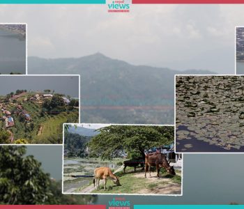 तस्वीरमा पोखराको फेवाताल (फोटोफिचर)