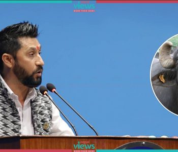 रविजी, राँगा र भैंसी नचिन्ने कस्तो पत्रकारिता गर्नुभयो ? कसरी बन्नुभयो सांसद ?
