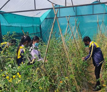 गण्डकीमा सिक्दै कमाउँदै, कमाउँदै सिक्दै कार्यक्रम