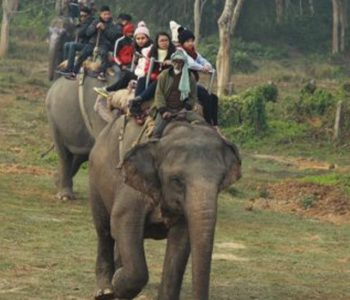 सौराहामा मुख्ययाममै आएनन् पर्यटक