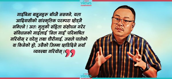 जनयुद्वमा गाई-गोरुको मासु र धराने गोरुको दशा निरूपण