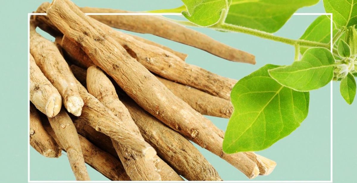अश्वगन्धाले हटाउँछ महिलाका स्वास्थ्य समस्या