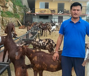 बाख्राफार्ममा ५ करोड लगानी
