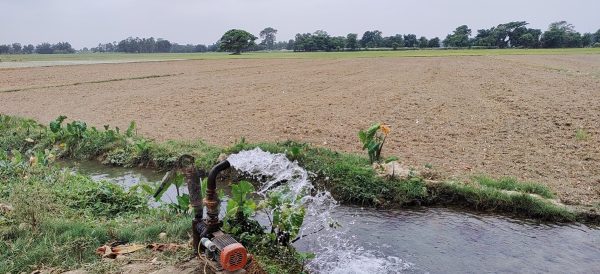 मधेसका ४० प्रतिशत खेत बाँझै, चामल अभाव चुलिने खतरा