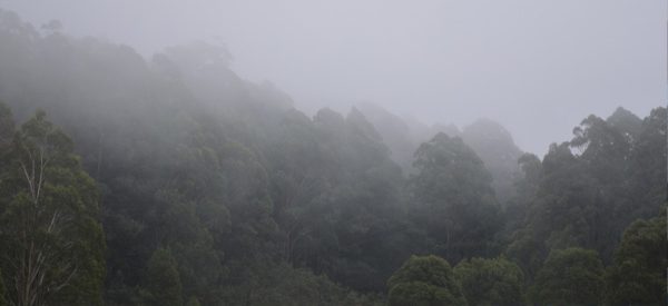 कर्णालीमा दुई दिनदेखि लगातार हवाई उडान प्रभावित