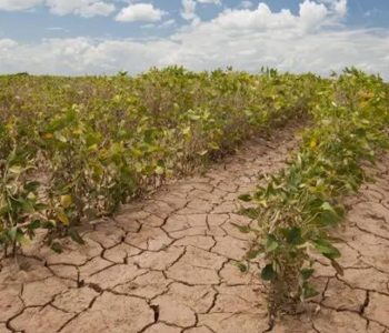 इटालीमा गर्मी : कृषि क्षेत्रमा ६ बिलियन युरो नोक्सान हुने अनुमान