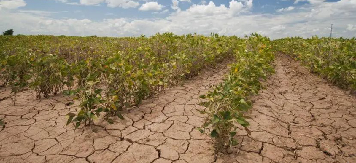 इटालीमा गर्मी : कृषि क्षेत्रमा ६ बिलियन युरो नोक्सान हुने अनुमान