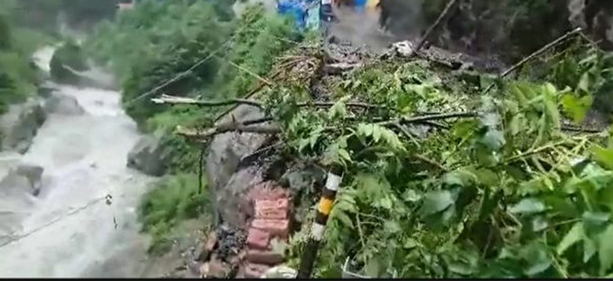 विपद्मा परी १३० जनाको मृत्यु, कुन प्रदेशमा कति ?