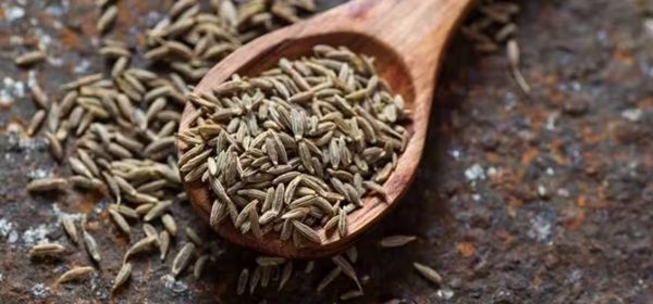नक्कली जिरा त खाइरहनुभएको छैन ? यसरी चिन्नुहोस्