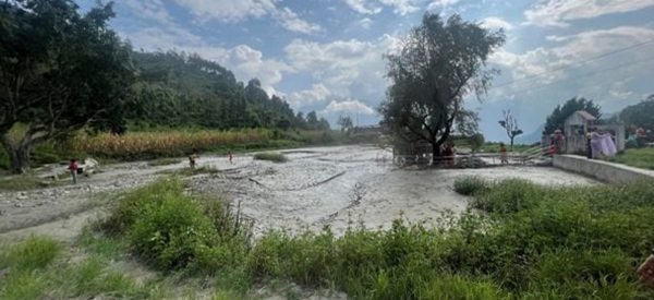 पहिराले आदिबराह ताल बगरमा परिणत