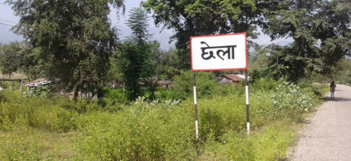 दैजी छेला औद्योगिक क्षेत्र : प्रस्ताव भएको २८ वर्षपछि रूख कटानका लागि लगत सङ्कलन