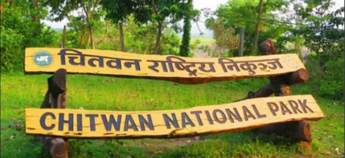 छ महिनामा एक लाख बढीले घुमे निकुञ्ज