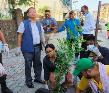 भरतपुरमा हरियाली प्रवर्द्धनका लागि पाँच करोड बजेट विनियोजन 