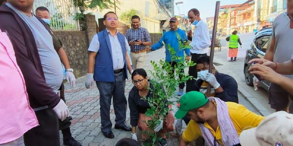 भरतपुरमा हरियाली प्रवर्द्धनका लागि पाँच करोड बजेट विनियोजन 