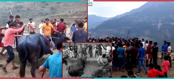 बलिको नाउँमा पशुहत्या गर्न ‘मान्छे पशु भएपछि… (भिडिओ)